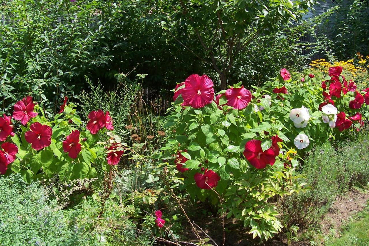 Arbor View House Bed And Breakfast East Marion Екстериор снимка