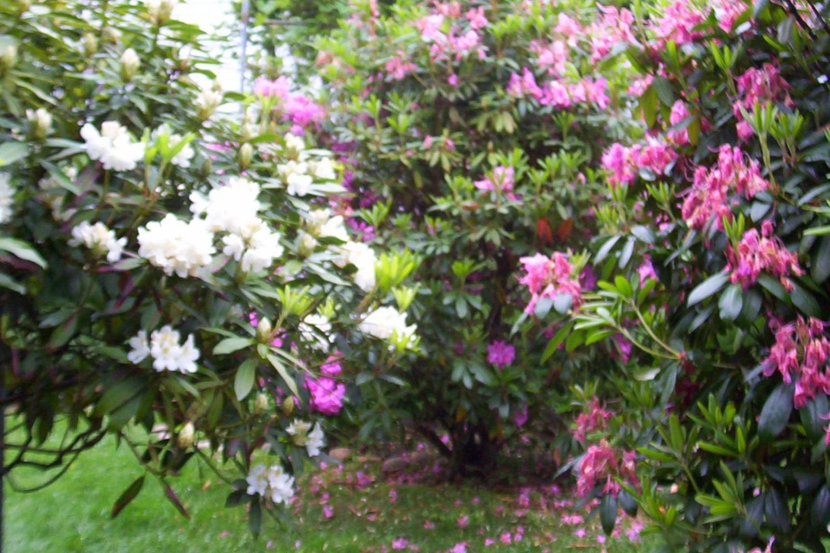 Arbor View House Bed And Breakfast East Marion Екстериор снимка
