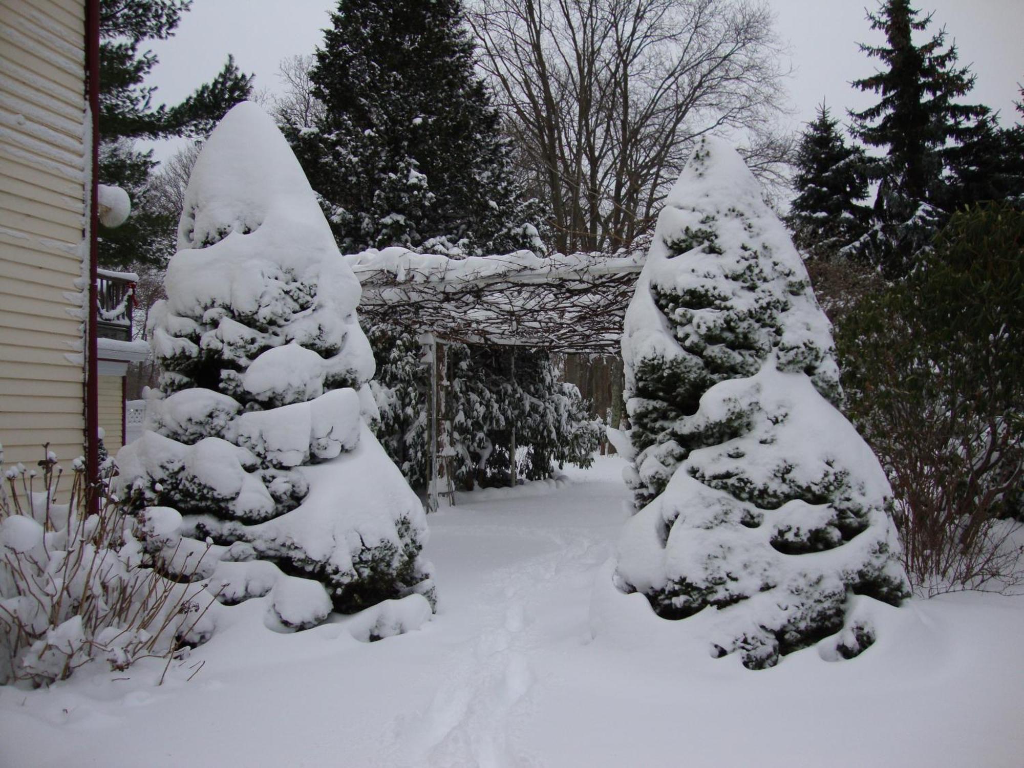 Arbor View House Bed And Breakfast East Marion Екстериор снимка