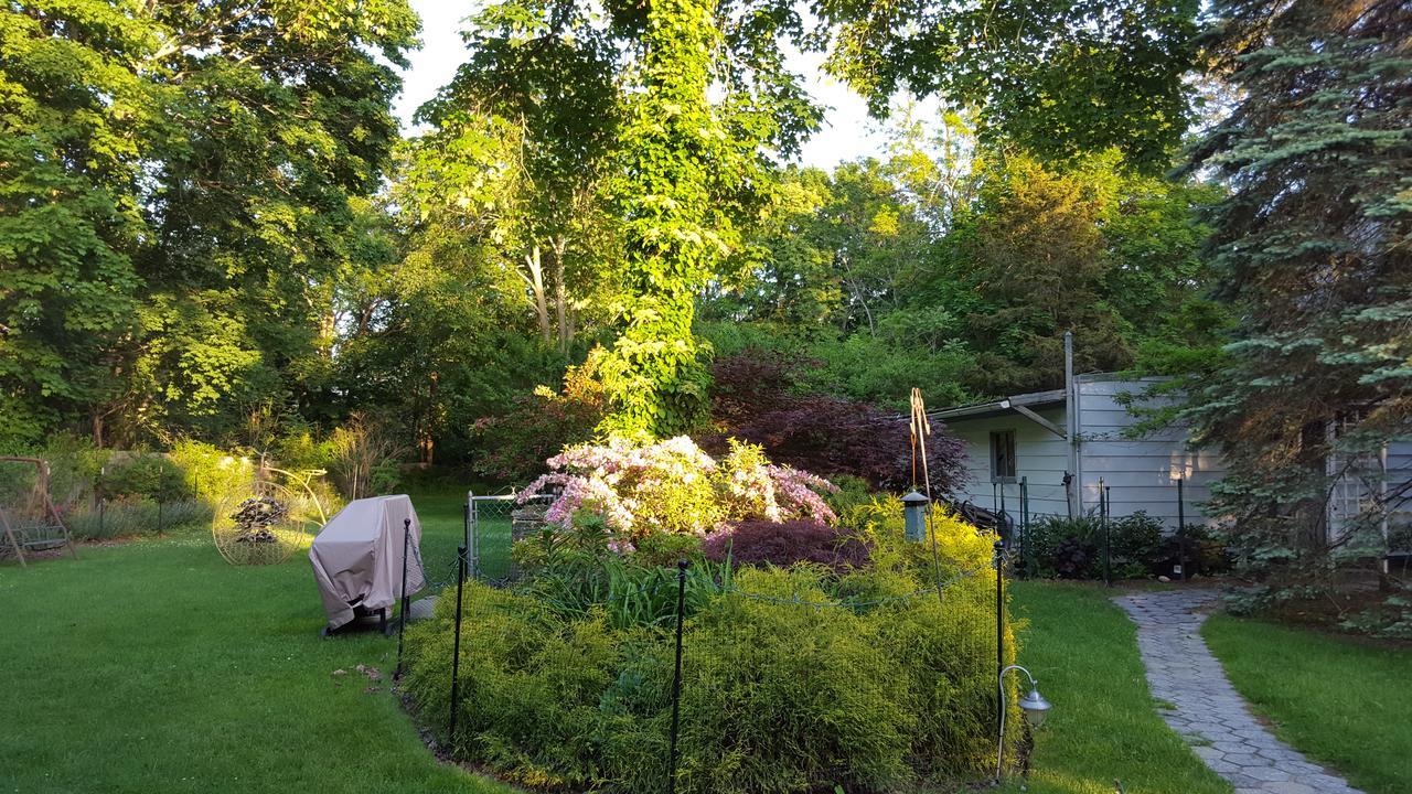 Arbor View House Bed And Breakfast East Marion Екстериор снимка