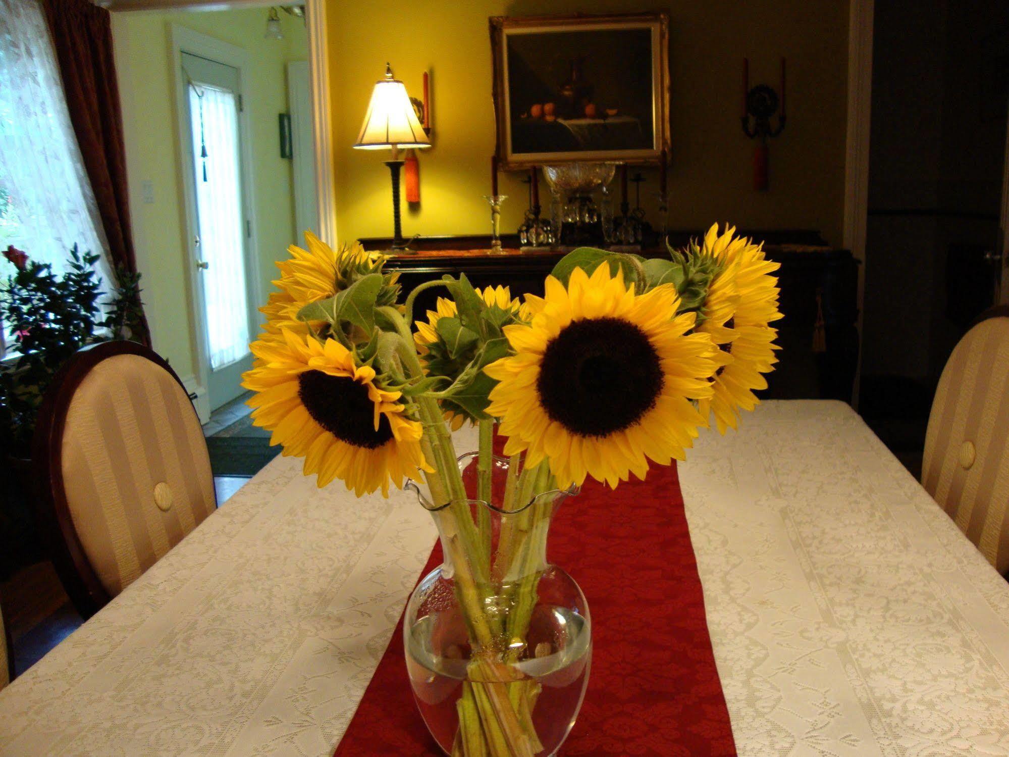 Arbor View House Bed And Breakfast East Marion Екстериор снимка